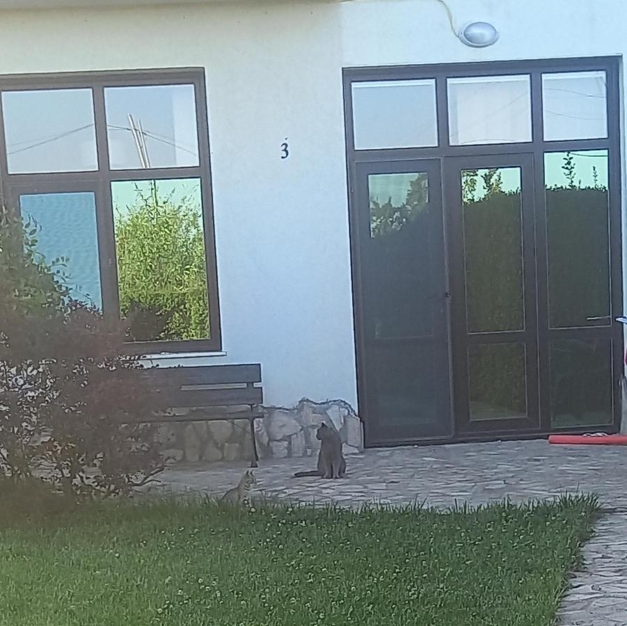 Bliznatsi Villa Ketli Apartment المظهر الخارجي الصورة